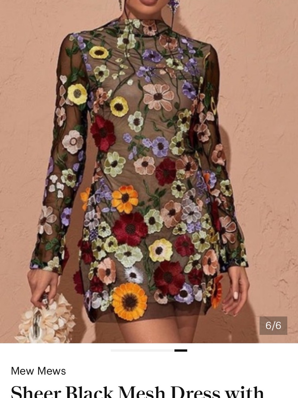 Sheer Black Mesh Floral Embroidered Mini Dress